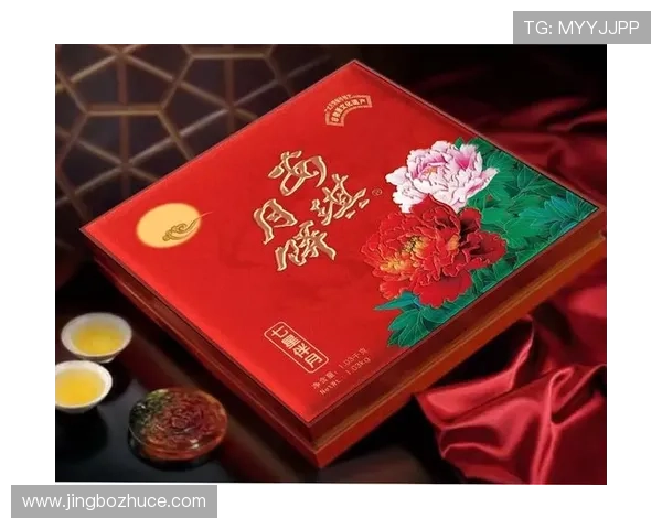 七星国际官网活动优惠信息汇总让你不错过每一次精彩福利