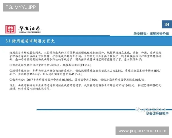 U体育真人平台如何保障玩家资金安全与隐私保护的实用措施总结